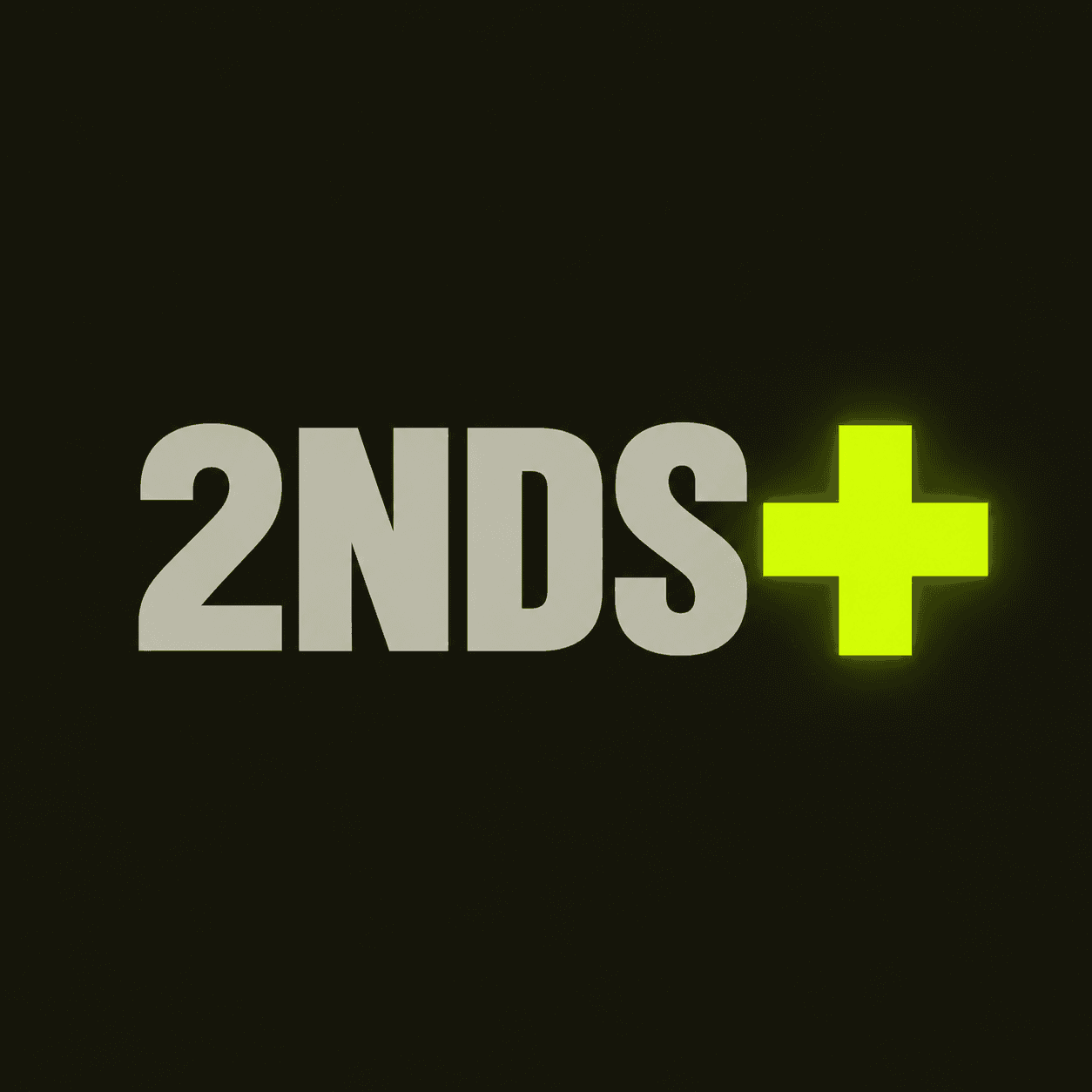 2NDS+